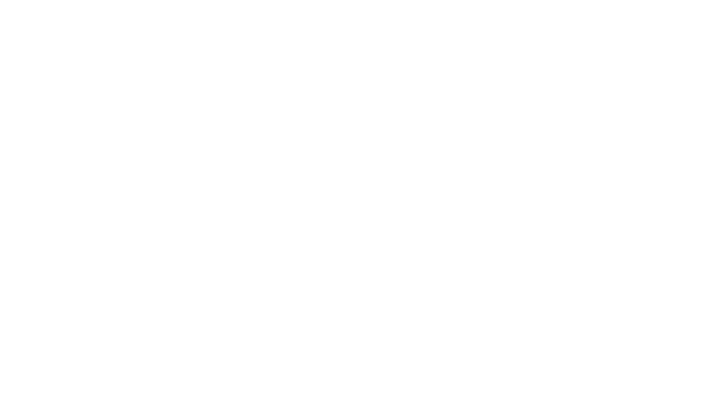 Prolyte